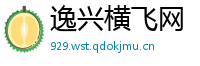 逸兴横飞网